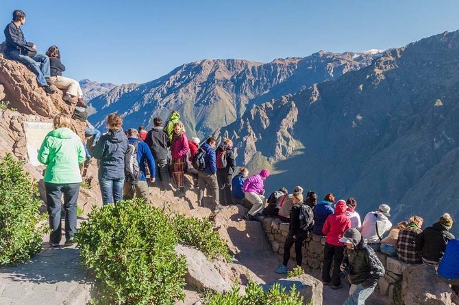 Tour al Cañon de Colca 2 Días y 1 Noche